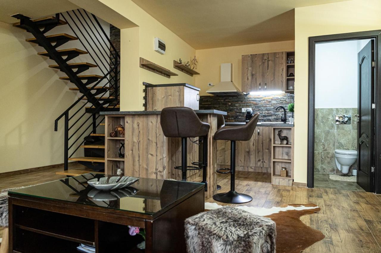 Villa Wild Петрошани Экстерьер фото